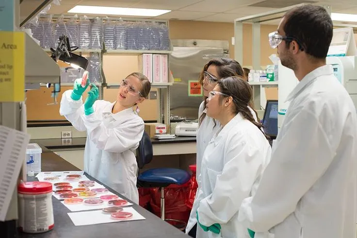 Laboratory professionals learning testing and calibration procedures
